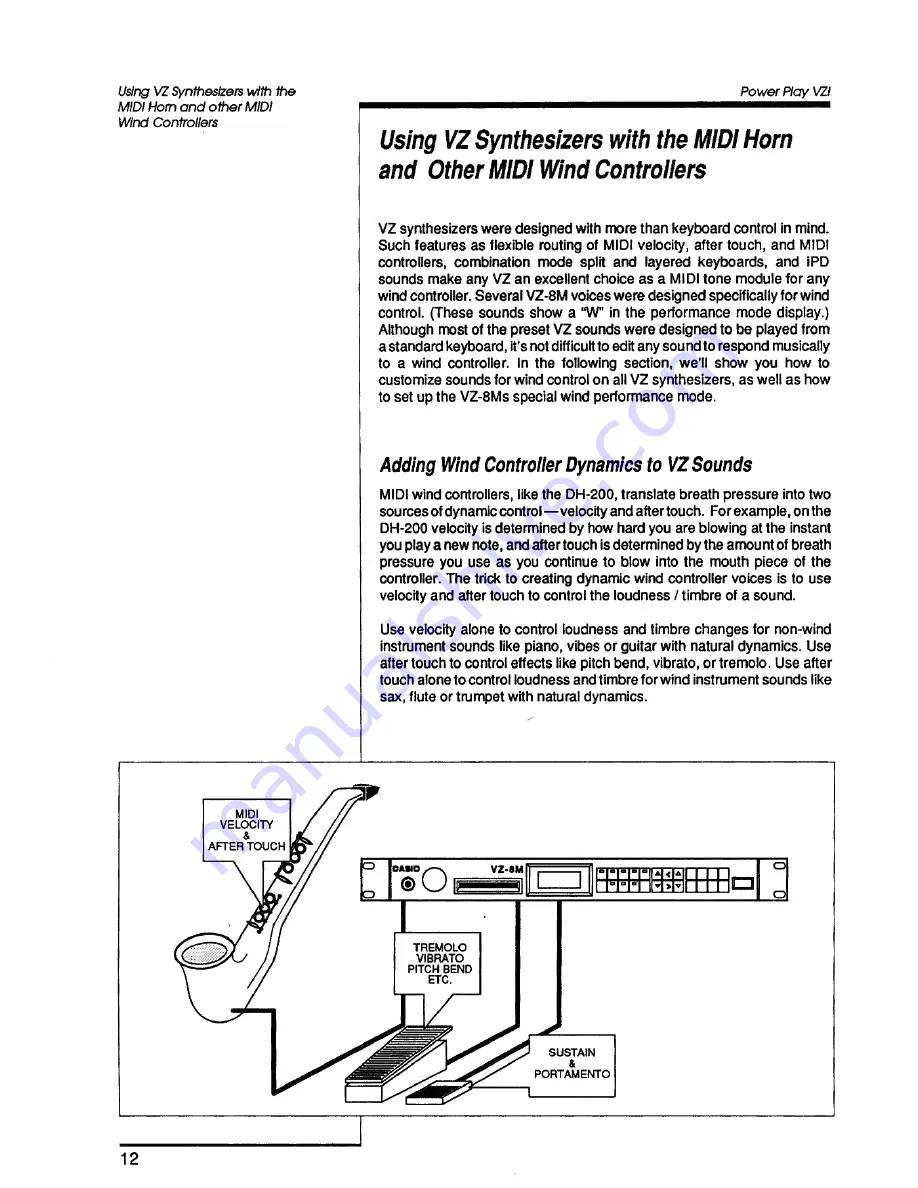 Casio VZ-1 Manual Download Page 20