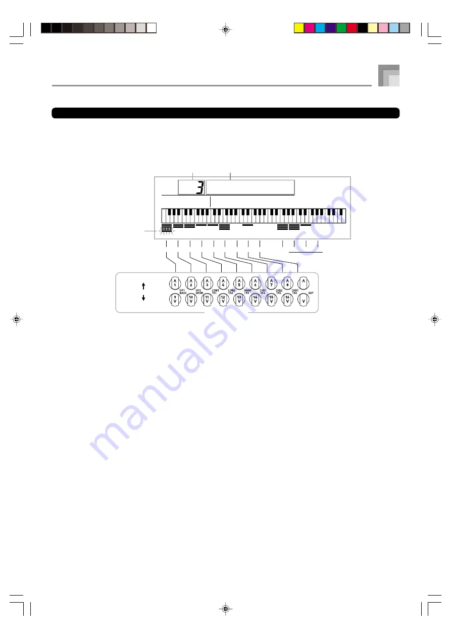 Casio WK 3500 - Keyboard 76 Full Size Keys Скачать руководство пользователя страница 29