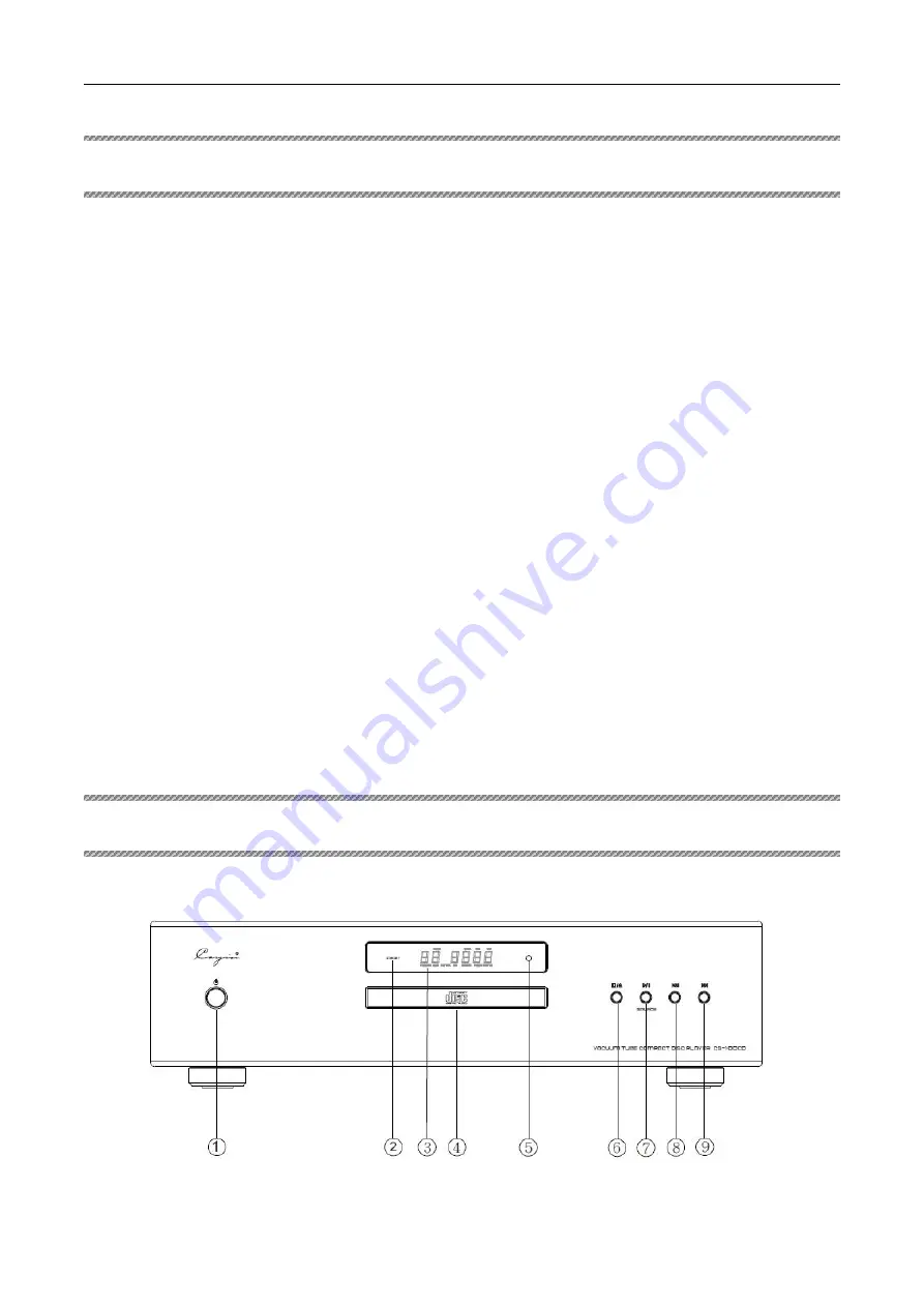 Cayin CS-100CD Quick Start Manual Download Page 2