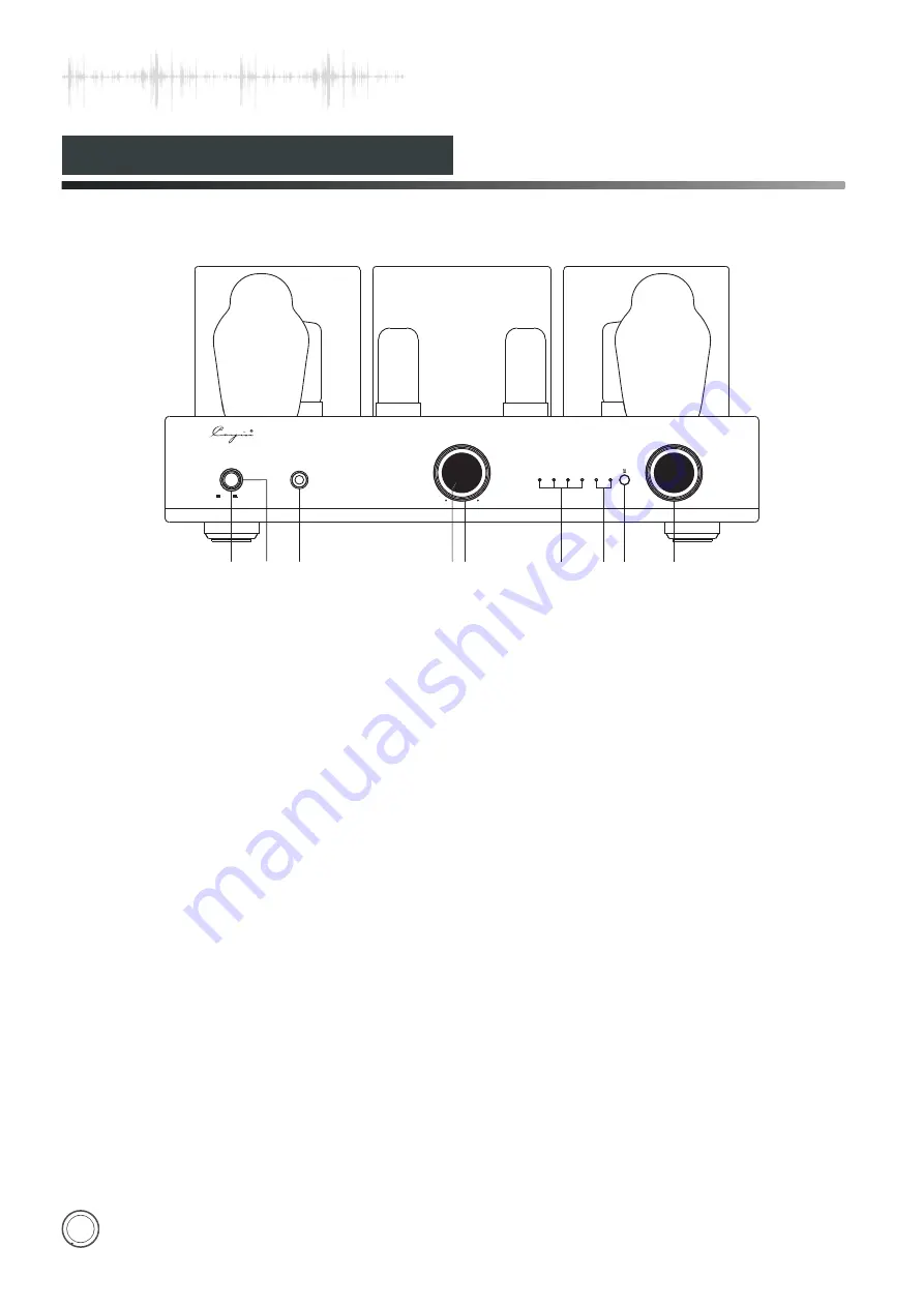 Cayin CS-300A User Manual Download Page 8