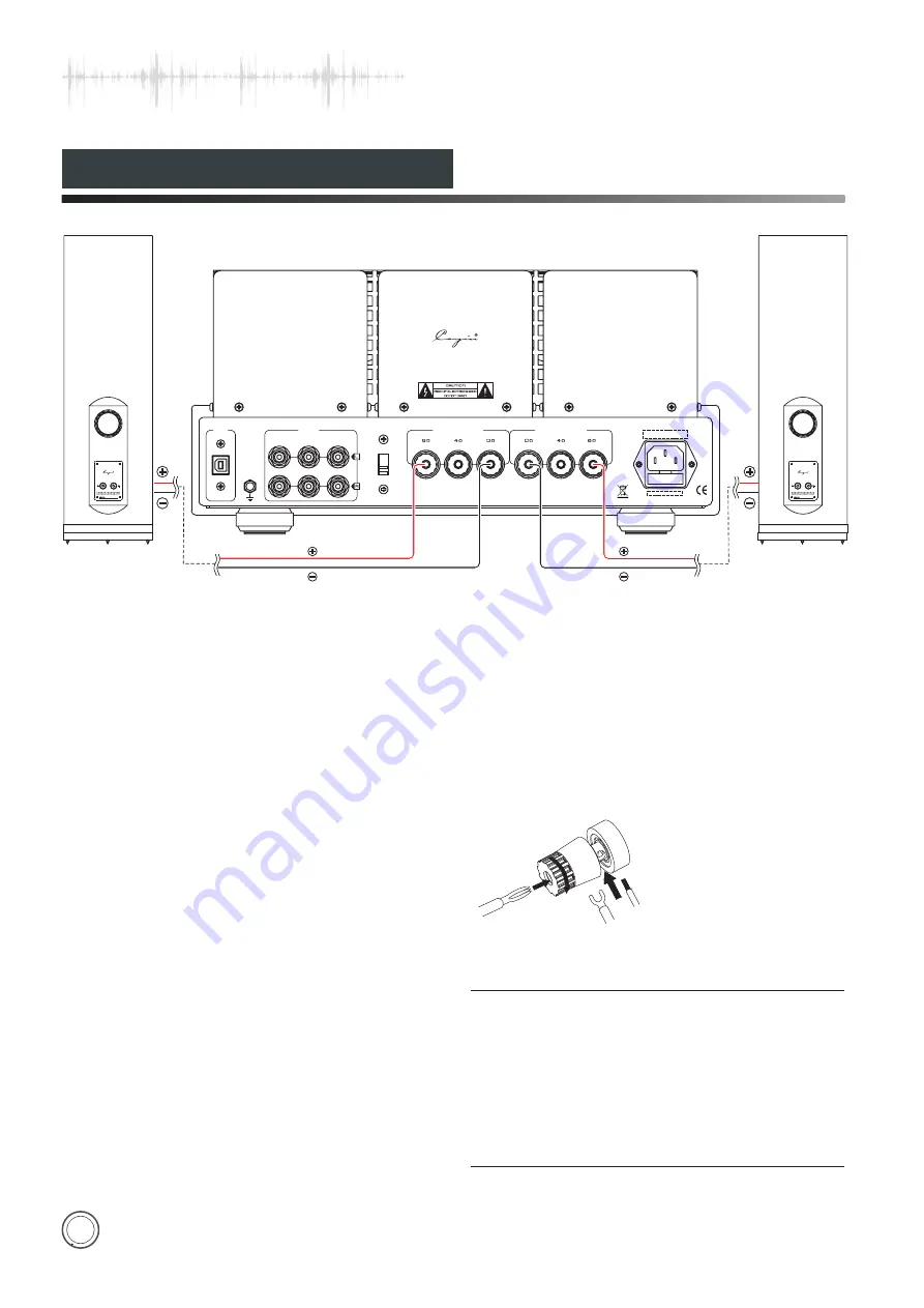 Cayin CS-55A User Manual Download Page 16