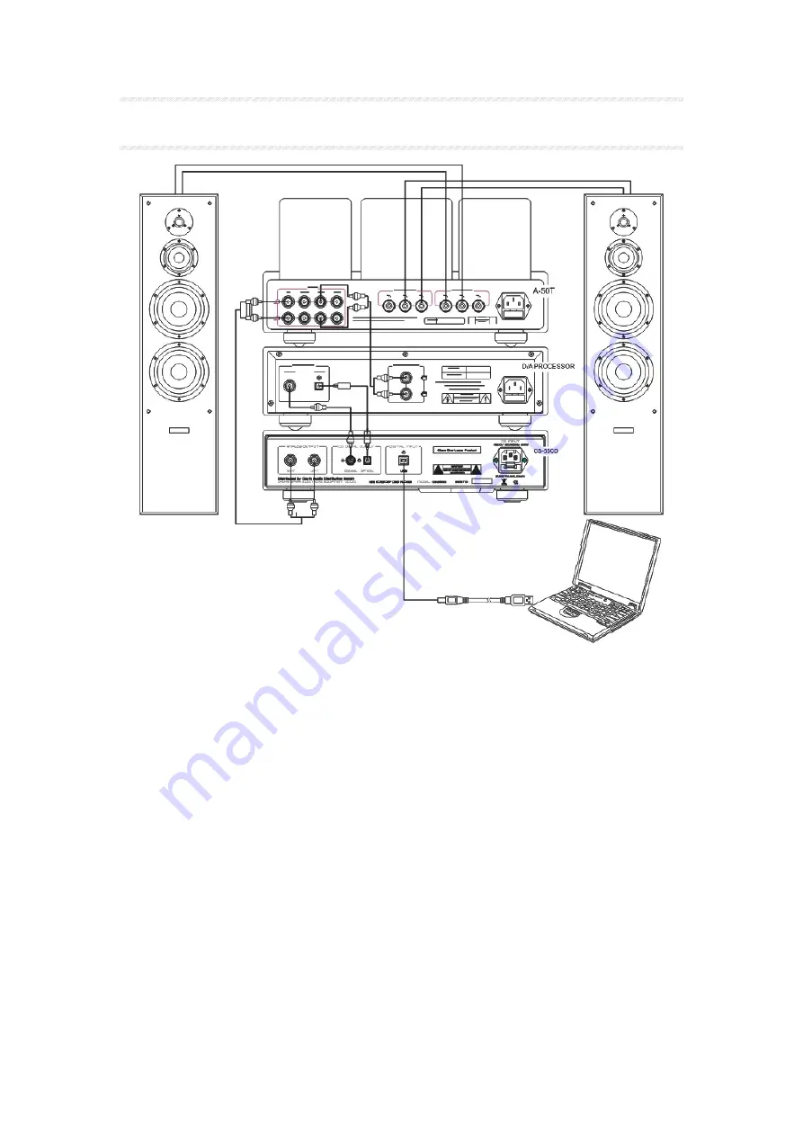 Cayin CS-55CD Скачать руководство пользователя страница 3