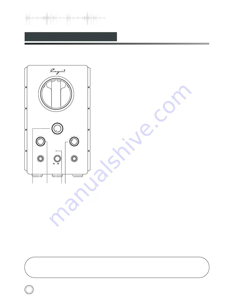 Cayin HA-1A MK2 User Manual Download Page 8