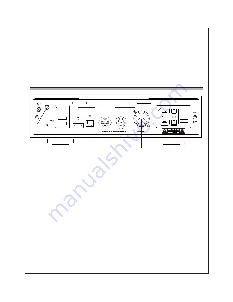 Cayin iDAP-6 User Manual Download Page 5