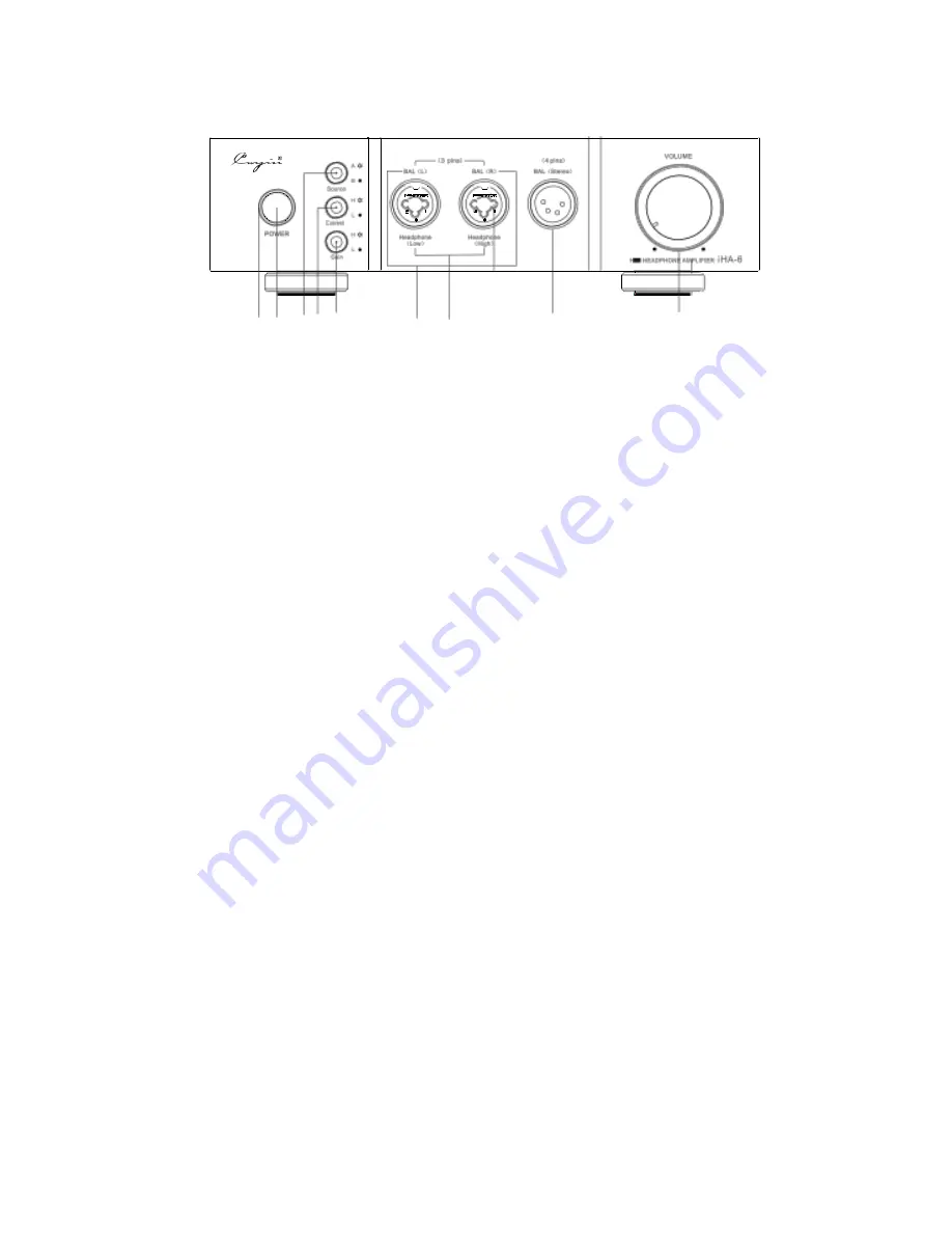 Cayin iHA-6 User Manual Download Page 4