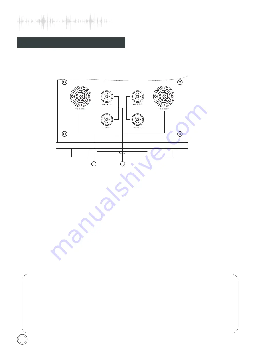 Cayin SC-6LS MK2 User Manual Download Page 10