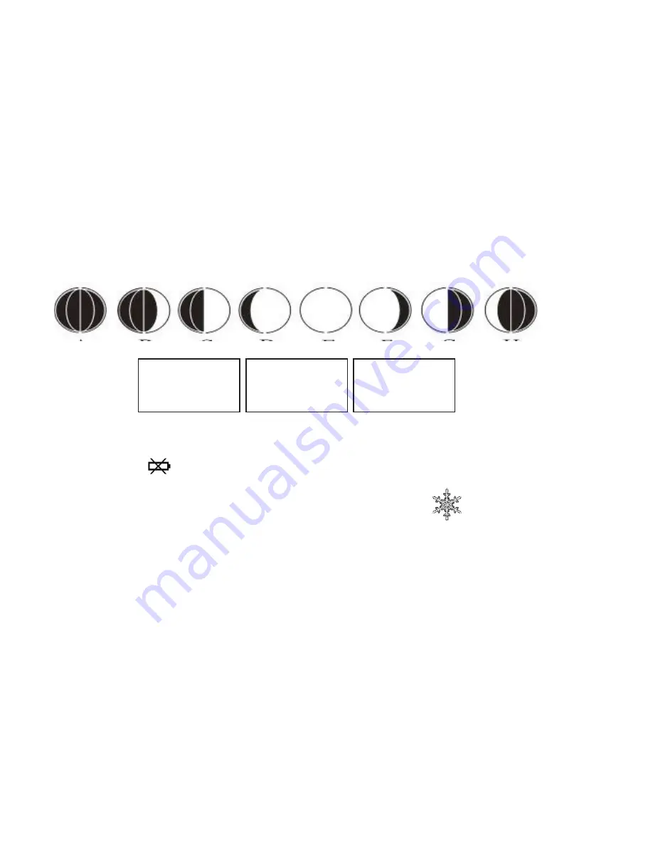 Celestron 47023 User Manual Download Page 10