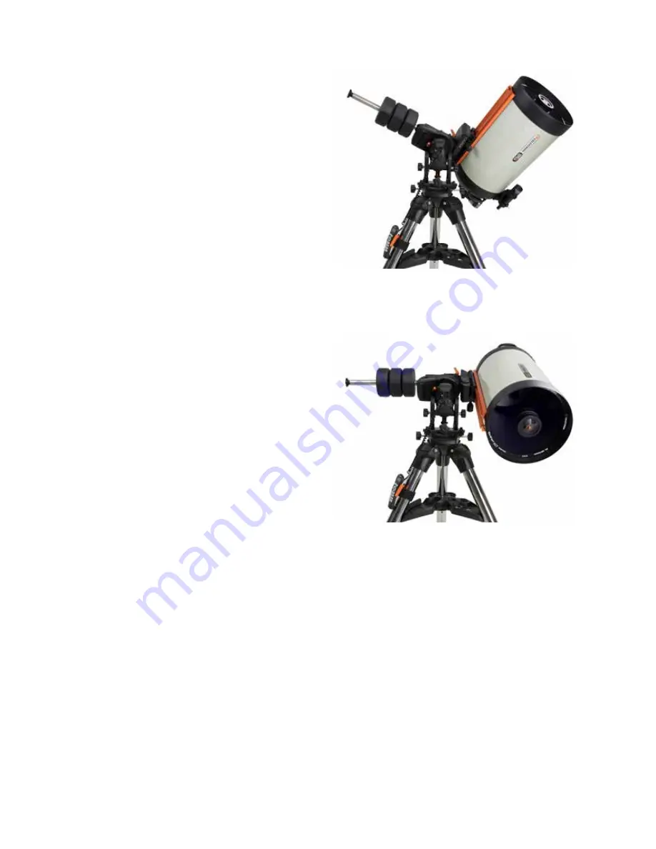 Celestron 91531 Скачать руководство пользователя страница 10