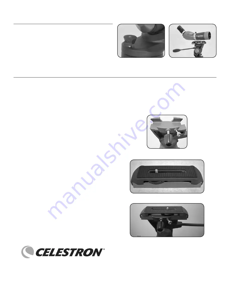 Celestron ASTROMASTER 93610 Скачать руководство пользователя страница 10