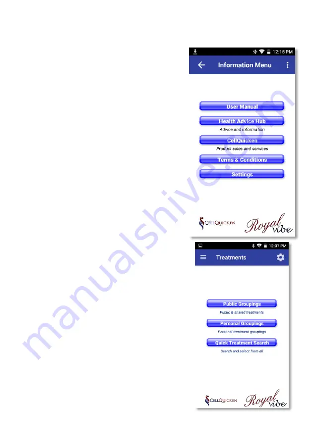 CellQuicken RoyalVibe Quick Start User Manual Download Page 10