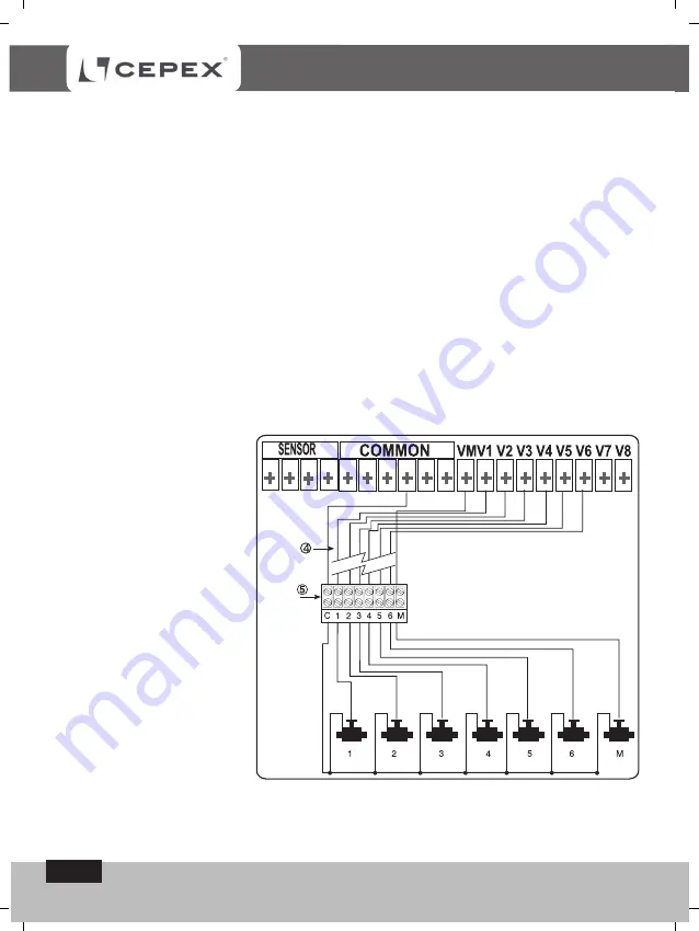 Cepex CPC004 Скачать руководство пользователя страница 9