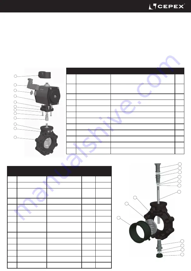 Cepex Extreme BTV-ABS-PA Installation And Maintenance Manual Download Page 37