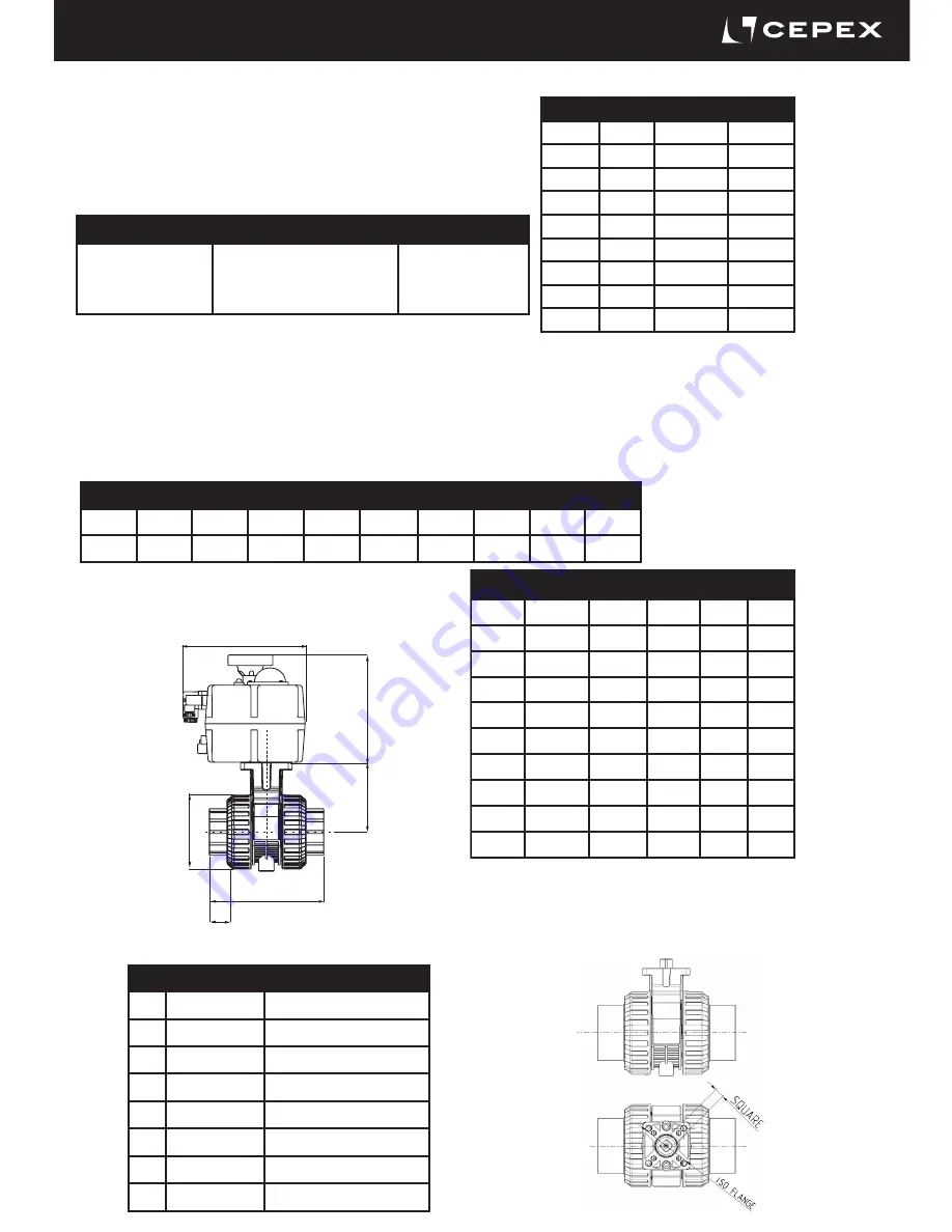 Cepex PPH Installation And Maintenance Manual Download Page 31