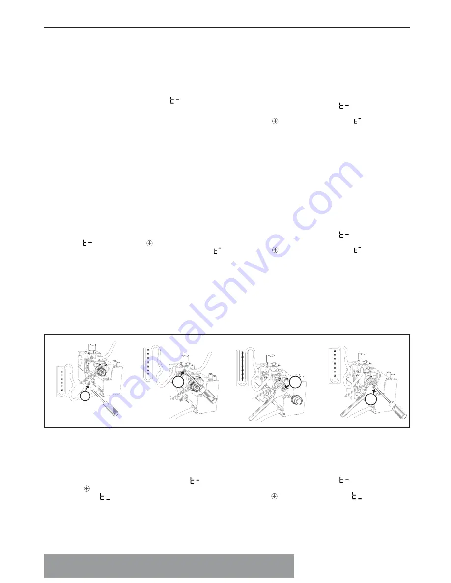 CHAFFOTEAUX ALIXIA S Installation And Servicing Instructions Download Page 21