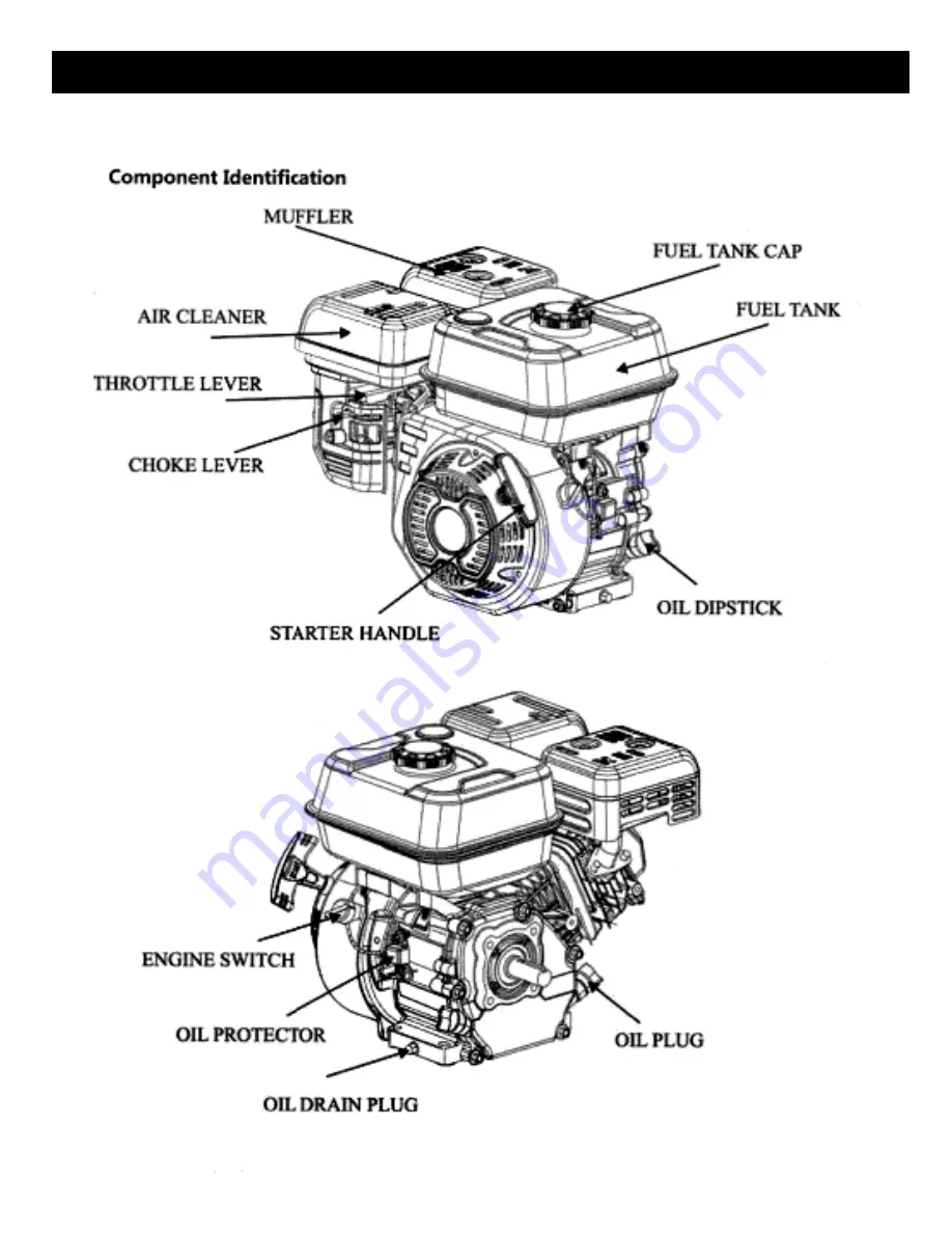 Champ FX230 Скачать руководство пользователя страница 6