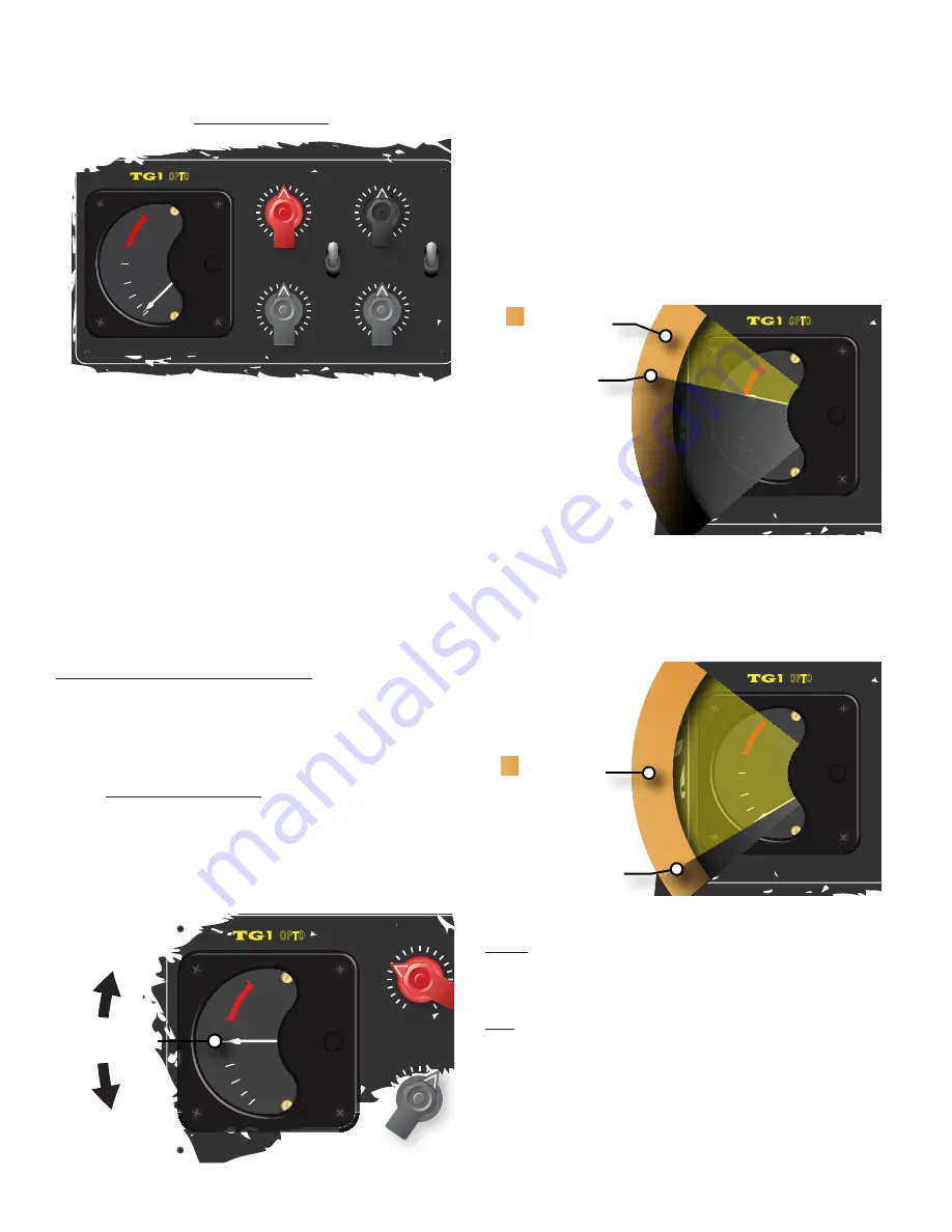 Chandler Limited TG MICROPHONE CASSETTE Скачать руководство пользователя страница 9