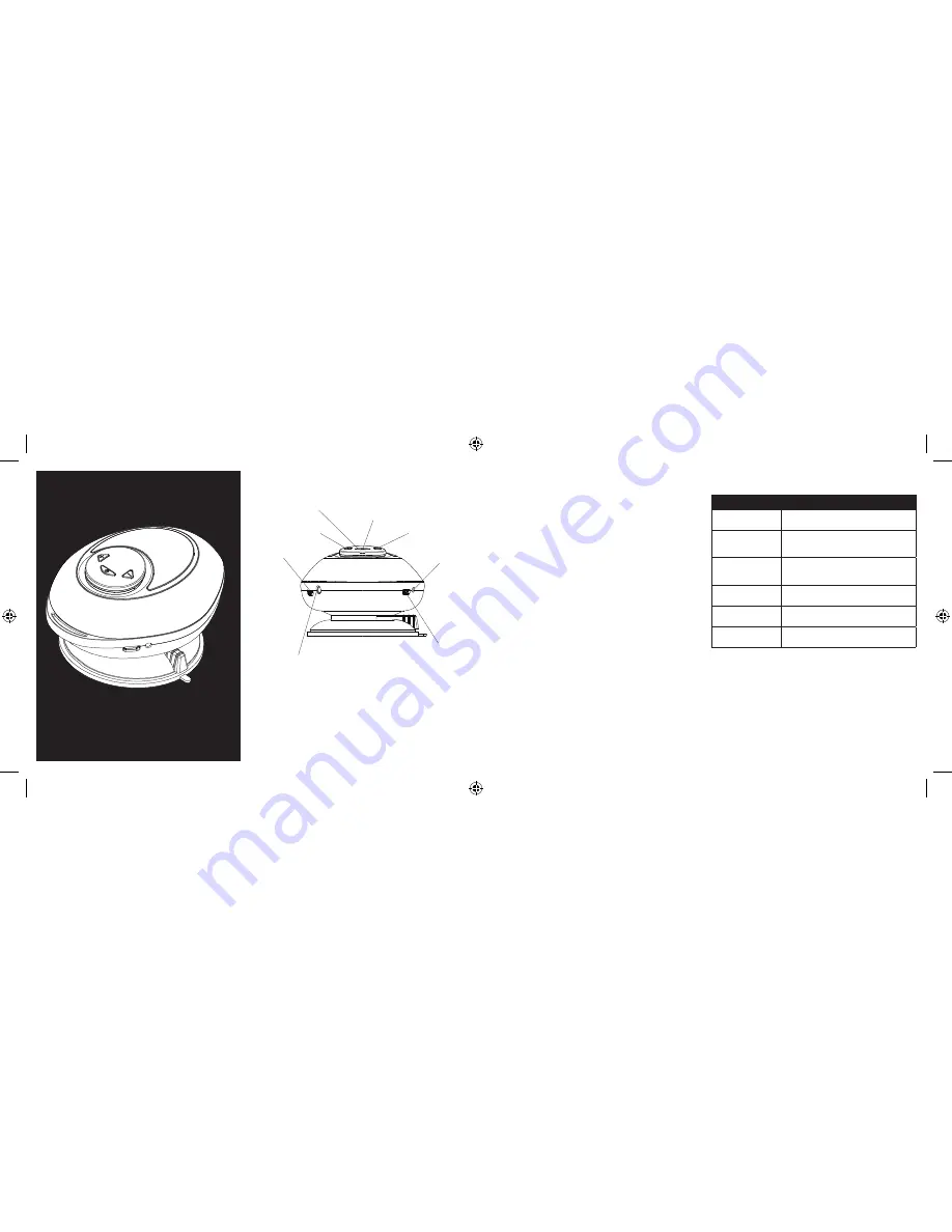 Chesskin IBT-01 User Manual Download Page 1