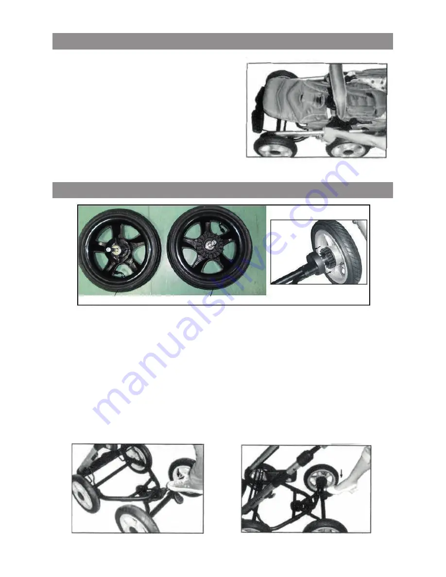 Chipolino NEVA MOVE 2in1 Instruction Manual Download Page 5