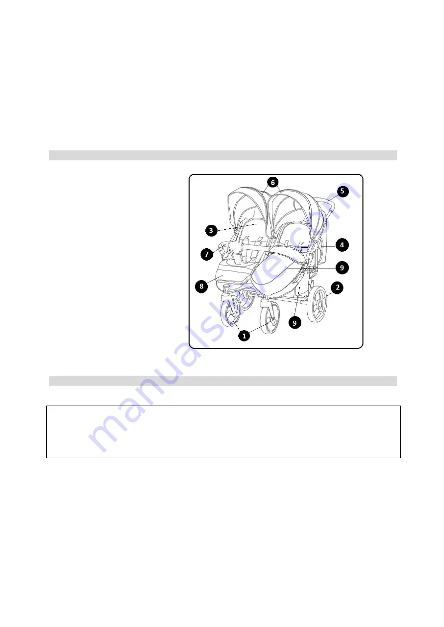 Chipolino TWIX Instruction Manual For Use Download Page 10