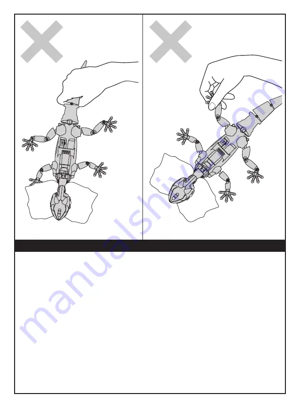 CIC Frilled Lizard Assembly & Instruction Manual Download Page 37