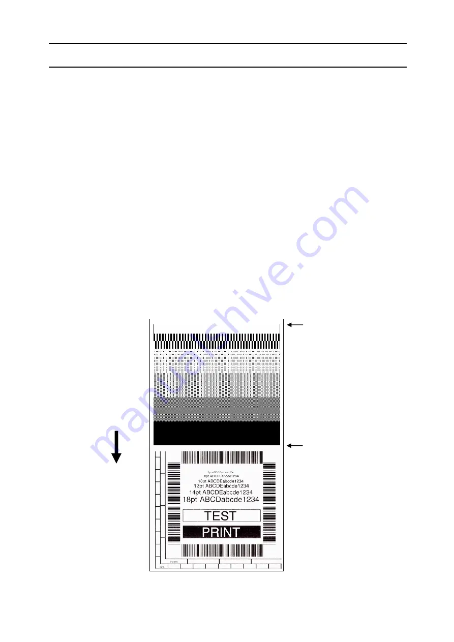 Citizen CLP-521 Technical Manual Download Page 19