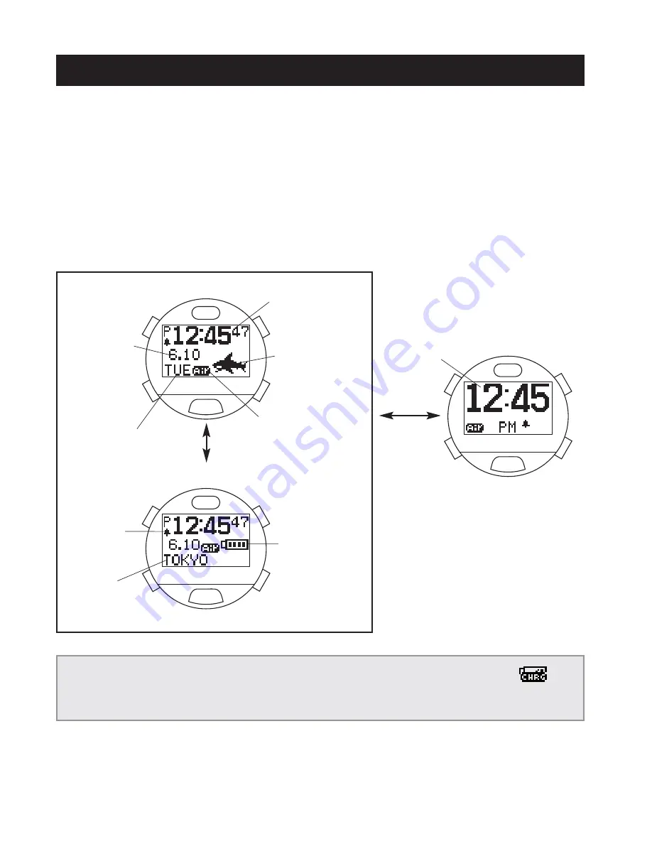 Citizen Cyber Aqualand NX D710 Instruction Manual Download Page 30