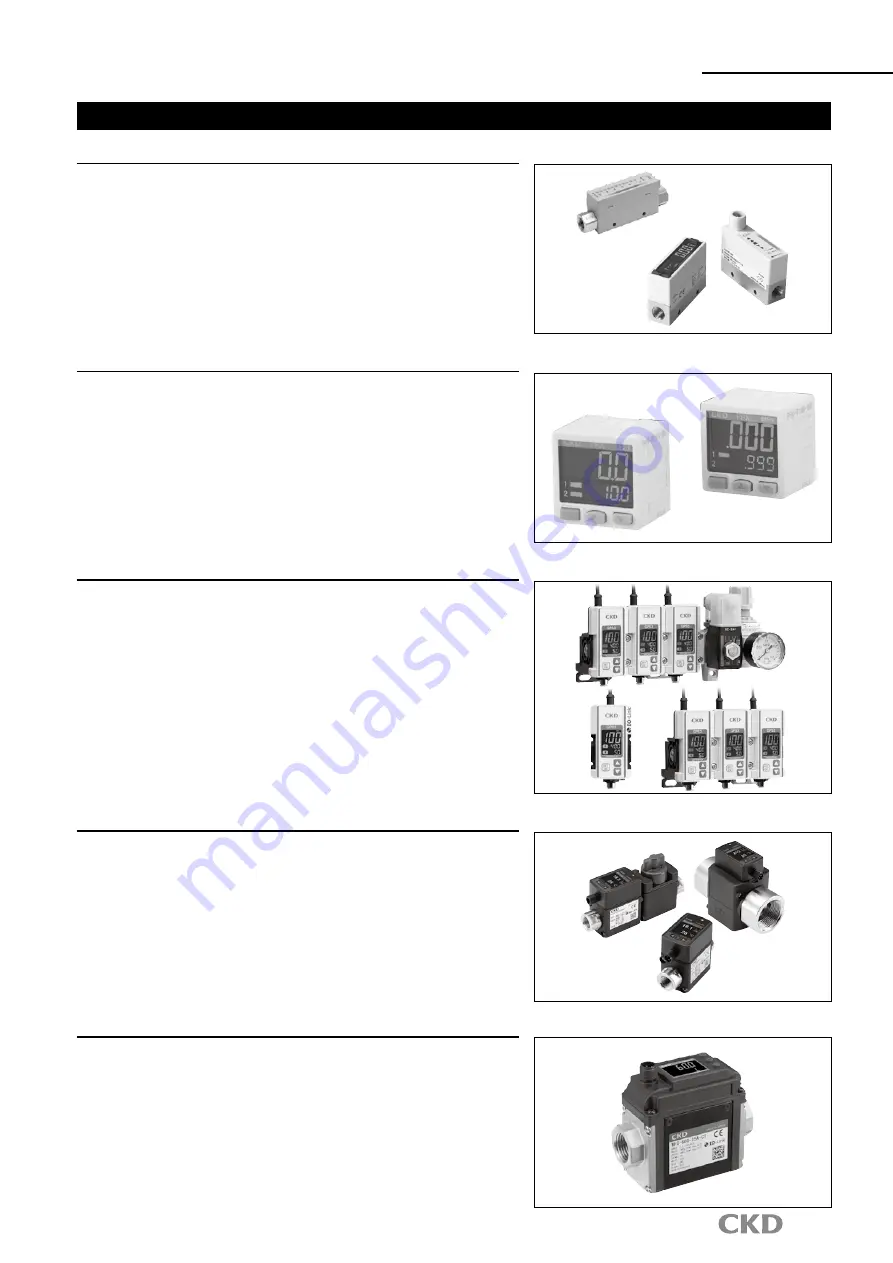 CKD FCM-0001 AI Manual Download Page 31