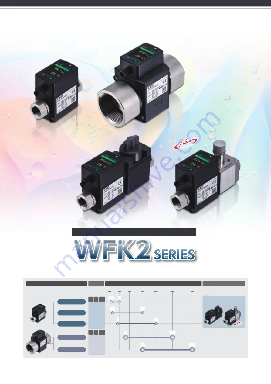 CKD FLUEREX WFK2 Series Скачать руководство пользователя страница 2