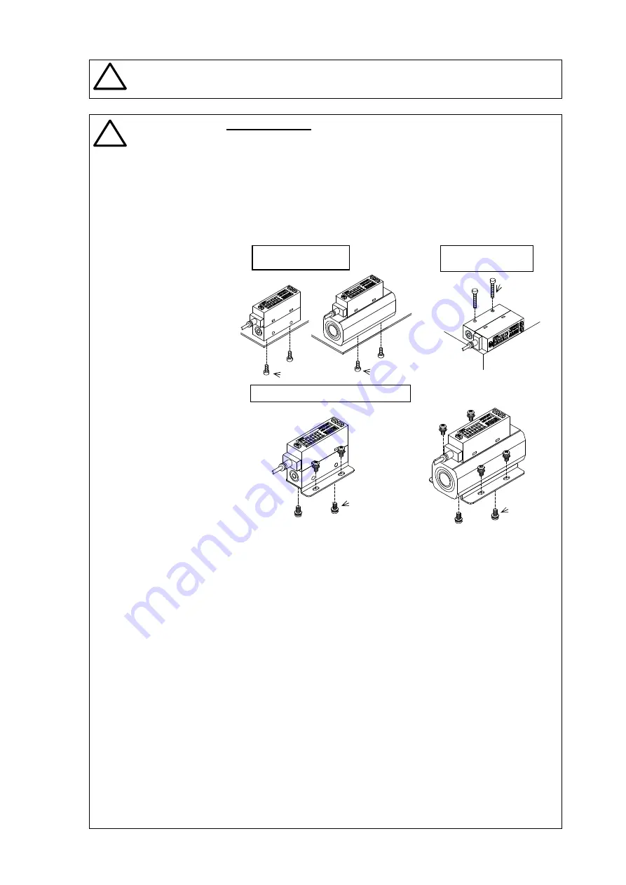 CKD Rapiflow FSM2 Series Скачать руководство пользователя страница 6