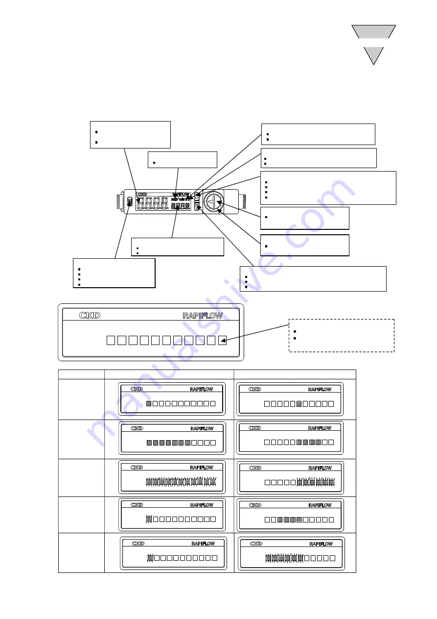 CKD Rapiflow FSM2 Series Скачать руководство пользователя страница 19