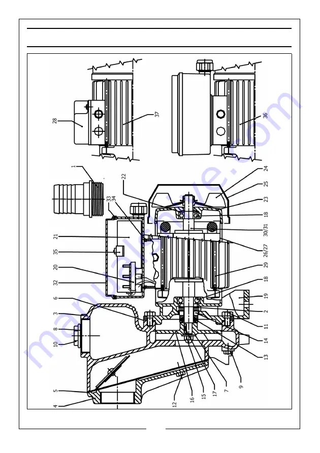 Clarke 7120310 Operation & Maintenance Instructions Manual Download Page 13