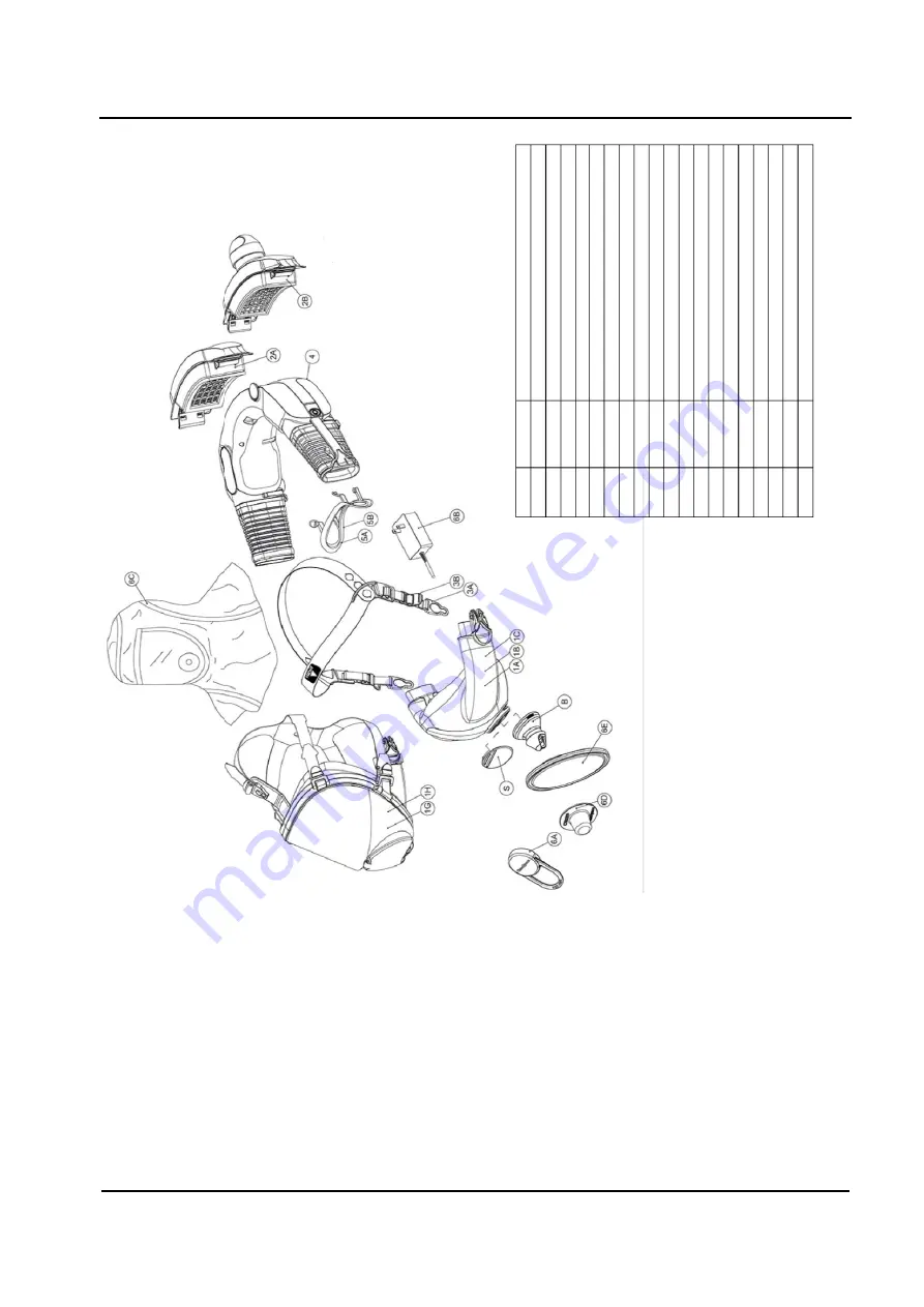 CleanSpace CS302 User Instructions Download Page 51