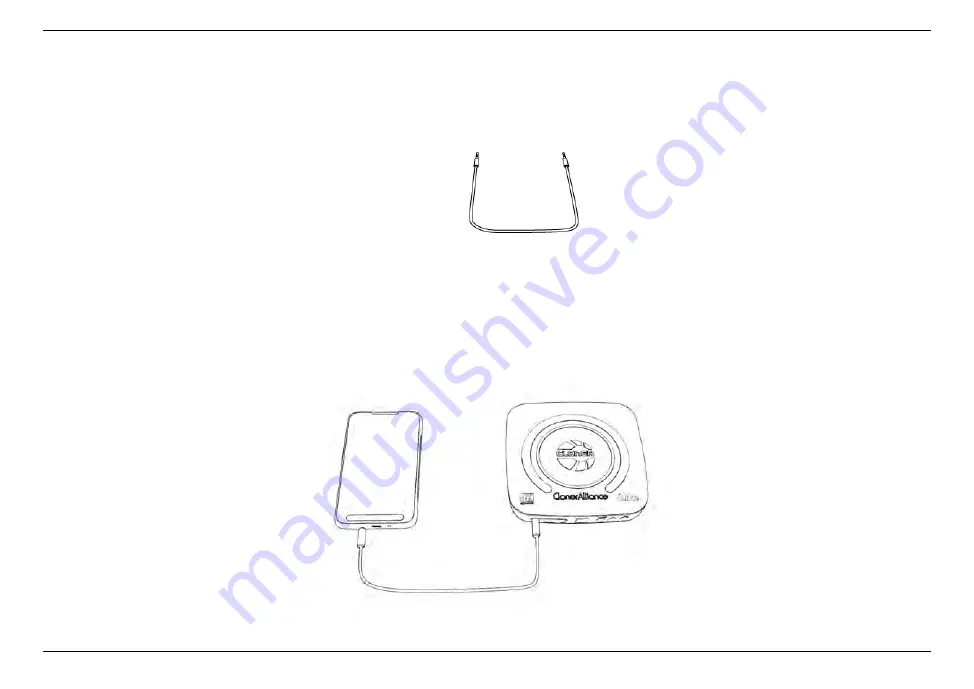 ClonerAlliance CA-989UL User Manual Download Page 31