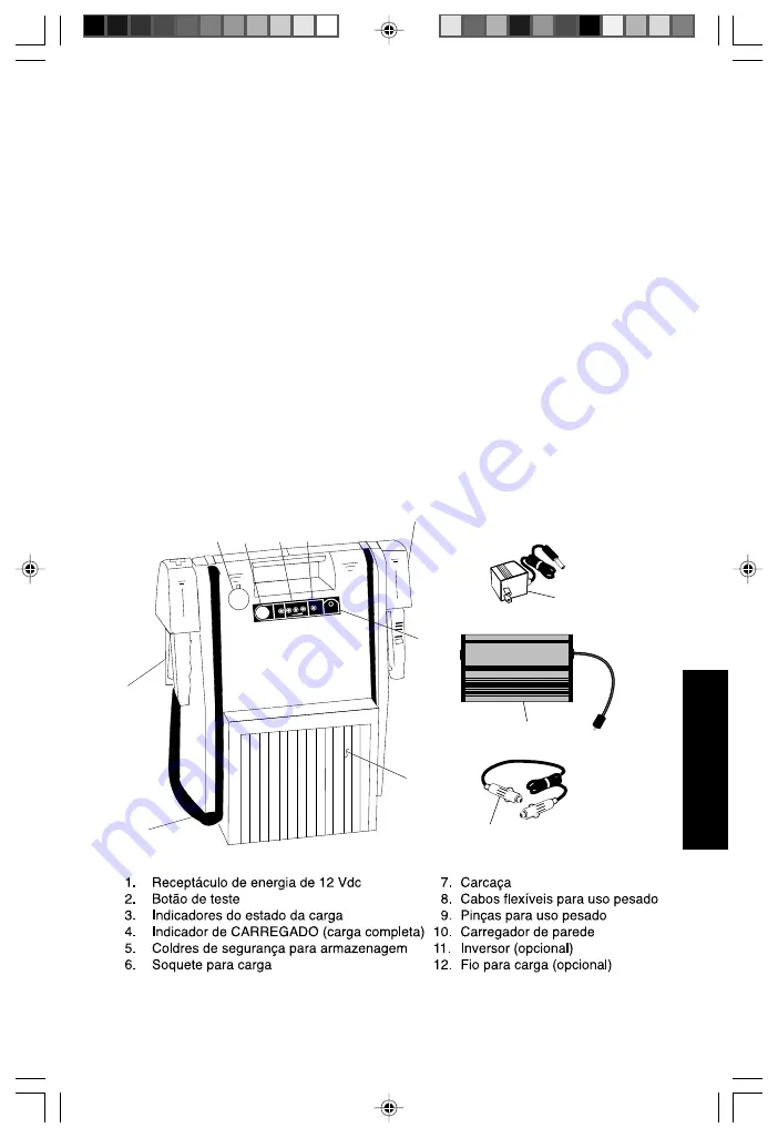 Clore Automotive Truck PAC ES-6000 User Manual Download Page 29