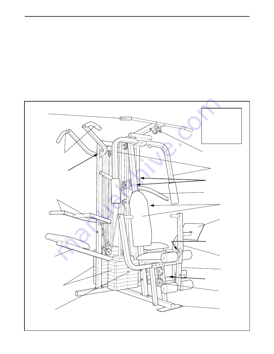 Club Weider 16.6ST WESY49200 Скачать руководство пользователя страница 3