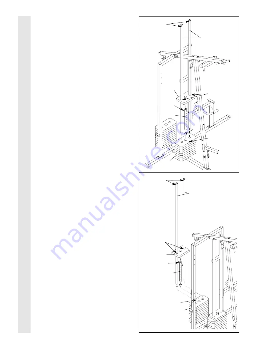 Club Weider WESY49201 Скачать руководство пользователя страница 7