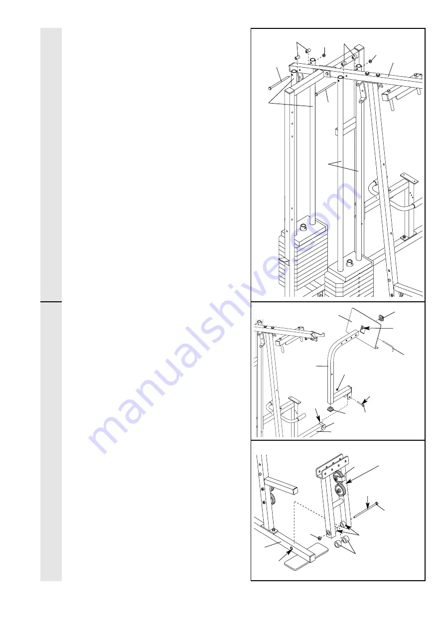 Club Weider WESY49201 Скачать руководство пользователя страница 8