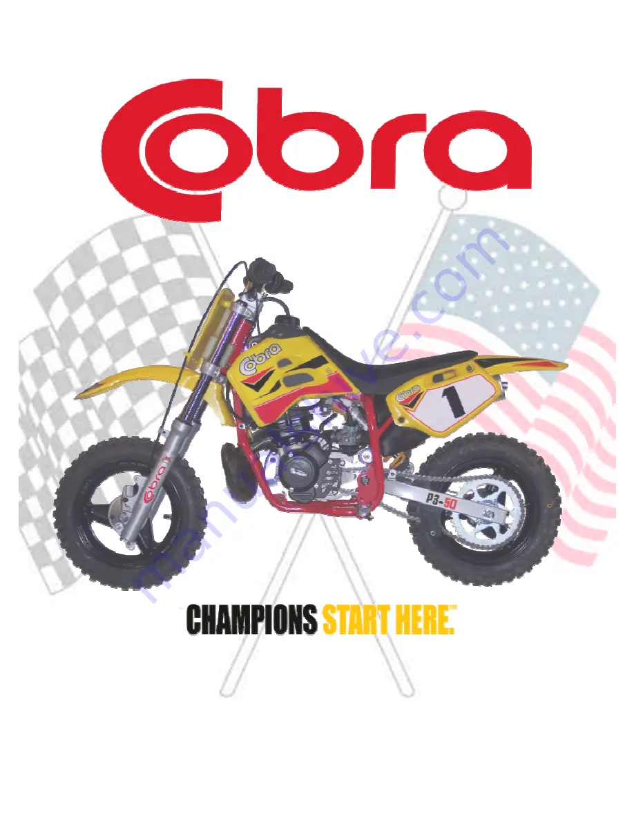 Cobra 2006 P3-50 Owner'S Manual Download Page 1