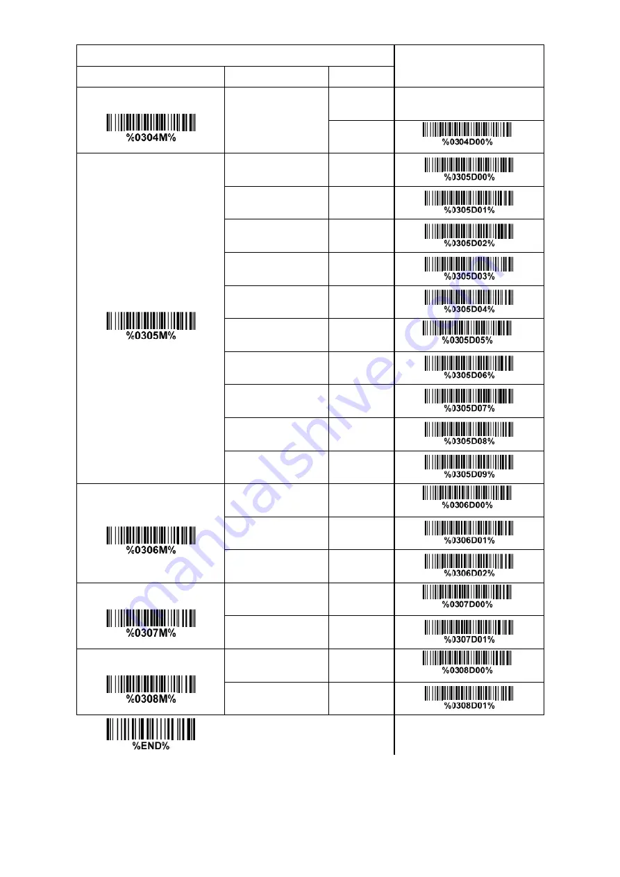 Codesoft Image Platform CS80 Series Скачать руководство пользователя страница 24