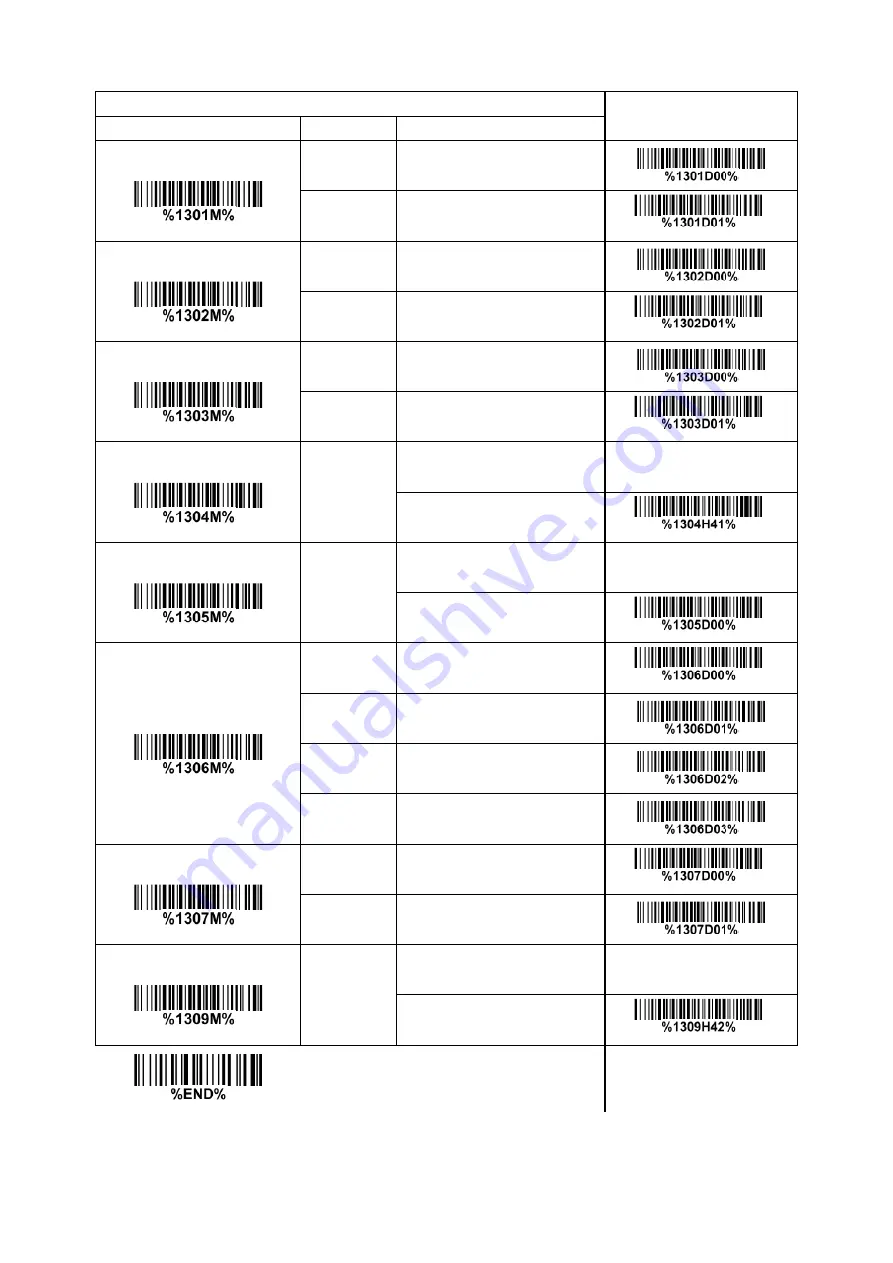 Codesoft Image Platform CS80 Series Скачать руководство пользователя страница 43