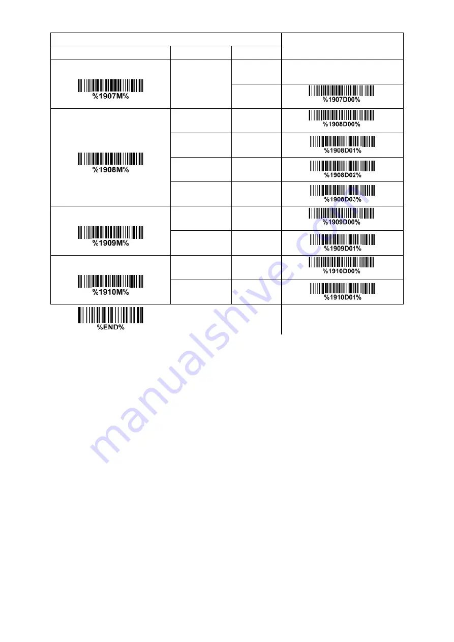 Codesoft Image Platform CS80 Series Скачать руководство пользователя страница 54