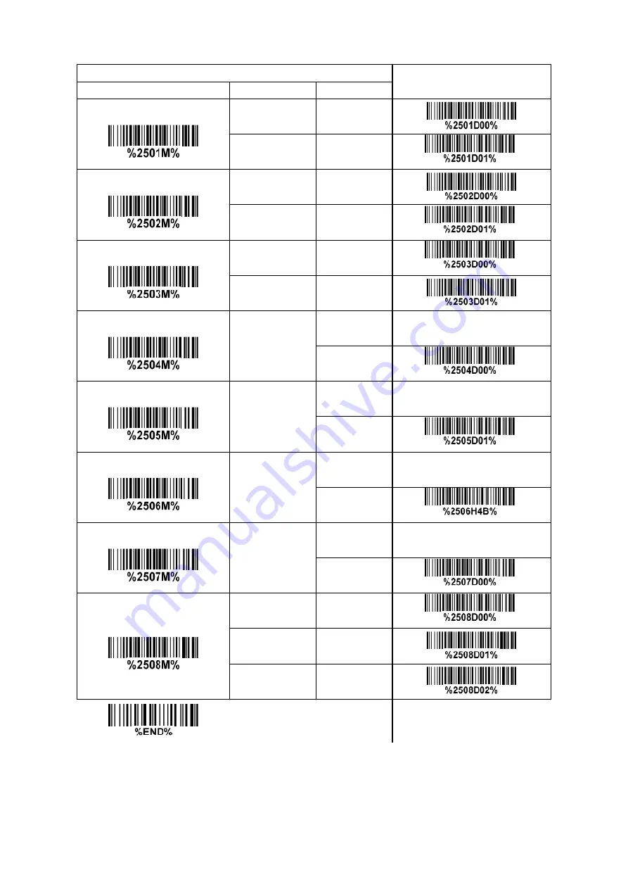 Codesoft Image Platform CS80 Series User Manual Download Page 58