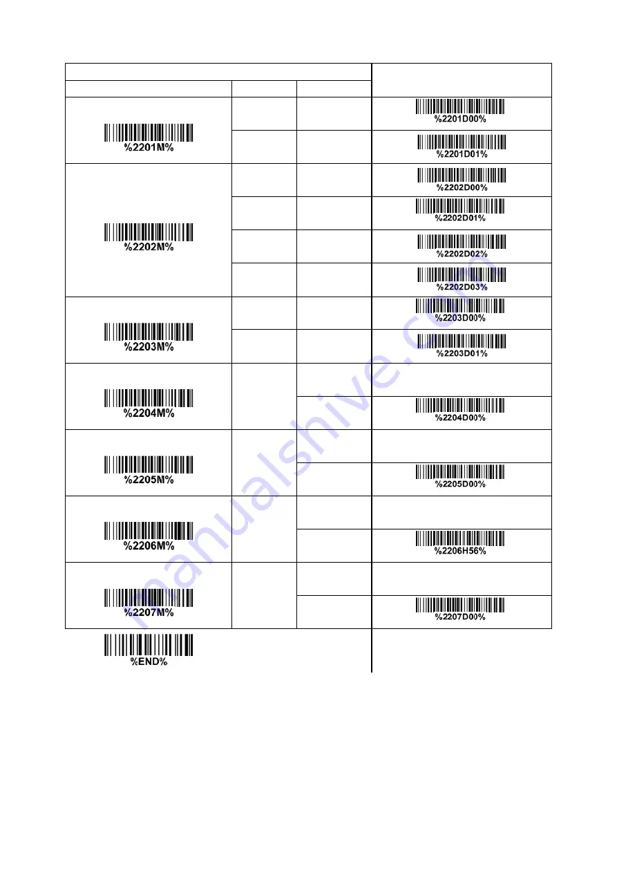 Codesoft Image Platform CS80 Series User Manual Download Page 62