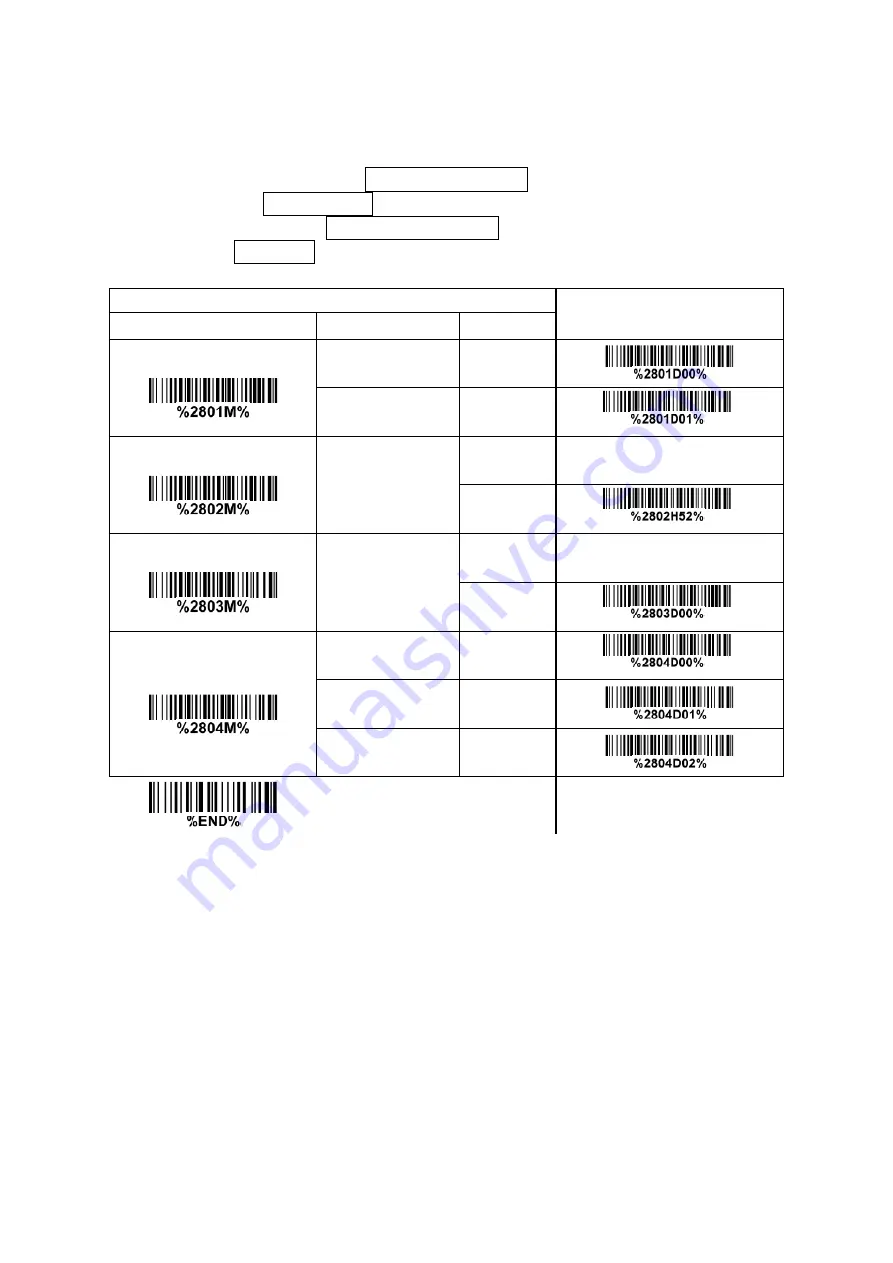 Codesoft Image Platform CS80 Series Скачать руководство пользователя страница 70