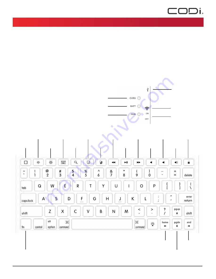 CODi C30708503 Скачать руководство пользователя страница 2