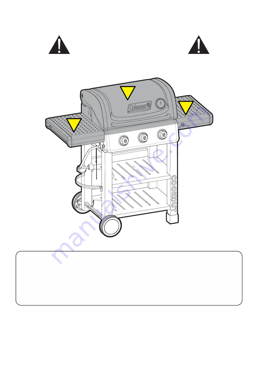 Coleman Cookout Series Скачать руководство пользователя страница 20