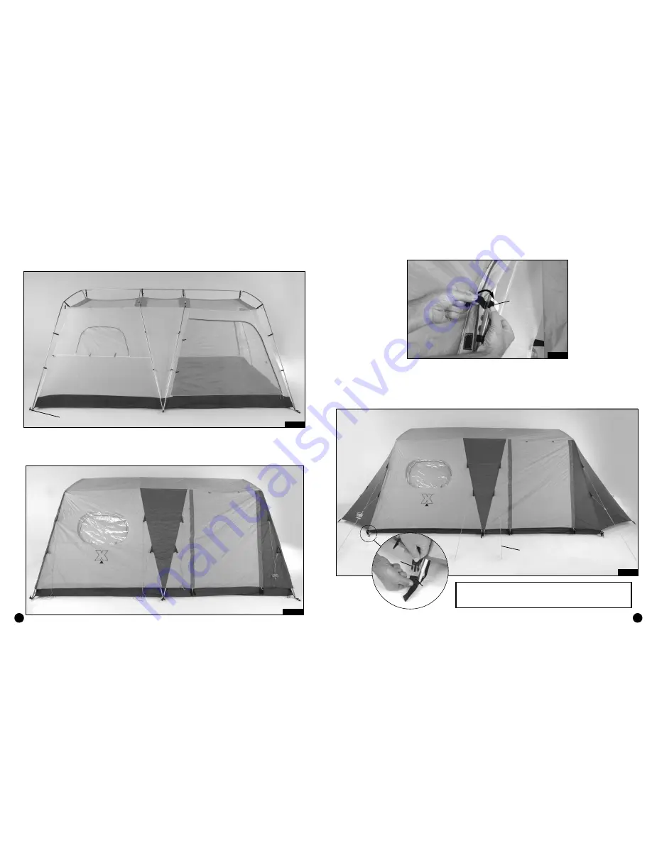 Coleman Tent X8 Setup Instructions Download Page 4