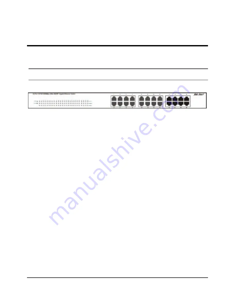 Comet Labs 24-Port 1000BASE-T User Manual Download Page 19