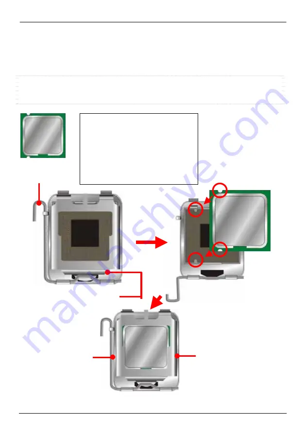 Commell FS-97D User Manual Download Page 16