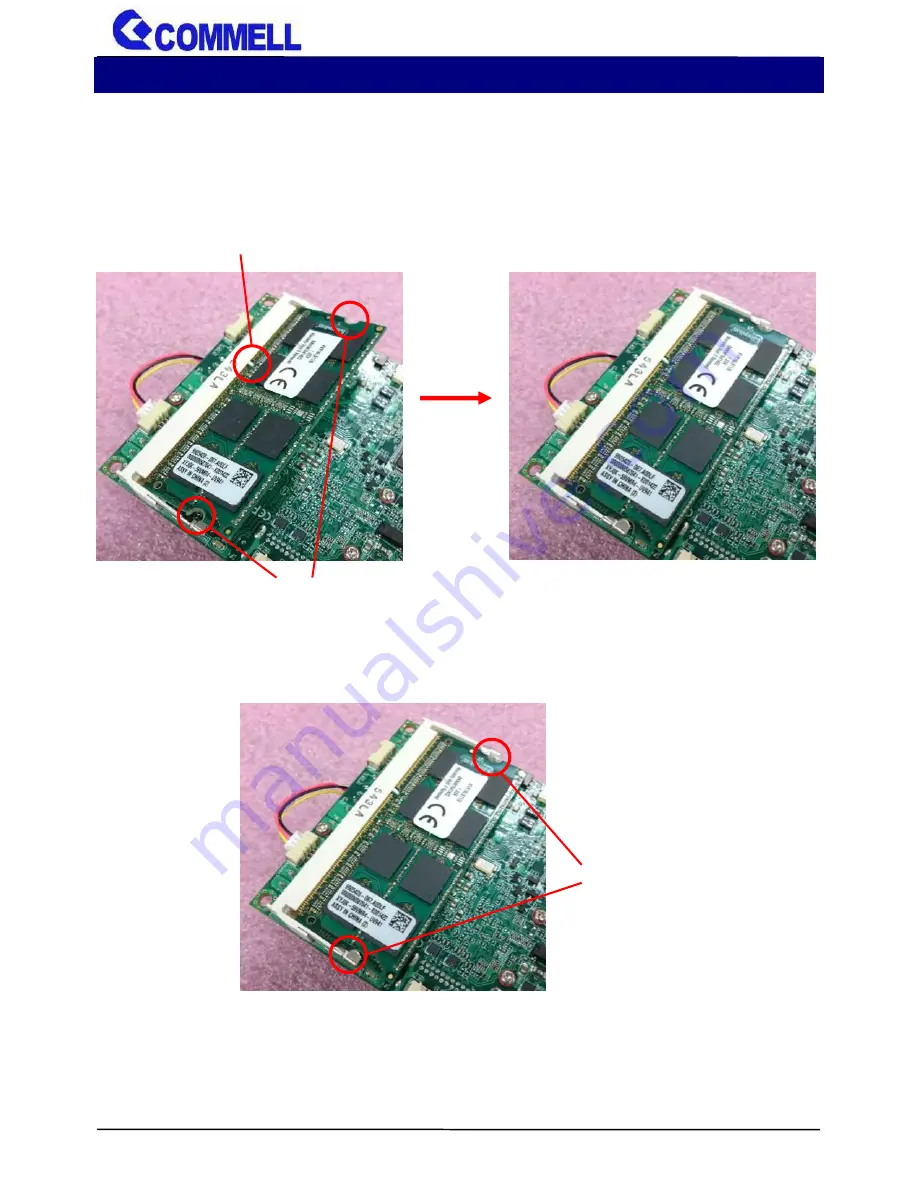 Commell LP-174 User Manual Download Page 12